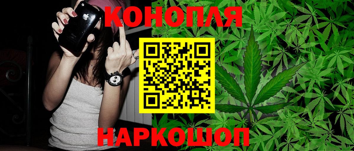 Конопля марихуана Калуга
